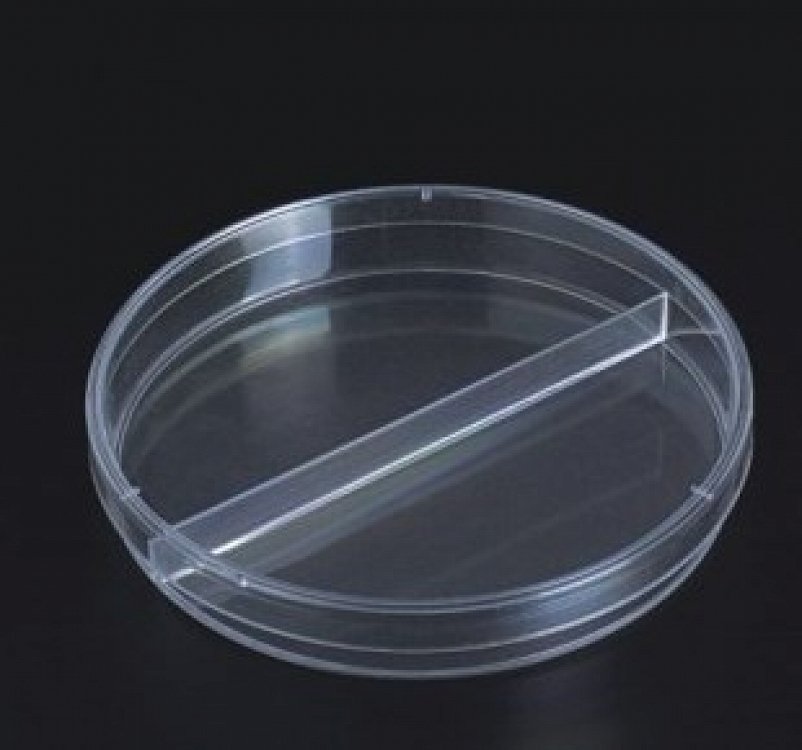 Plastic Petri Dishes, 9 Cm, (33 Pcs)
