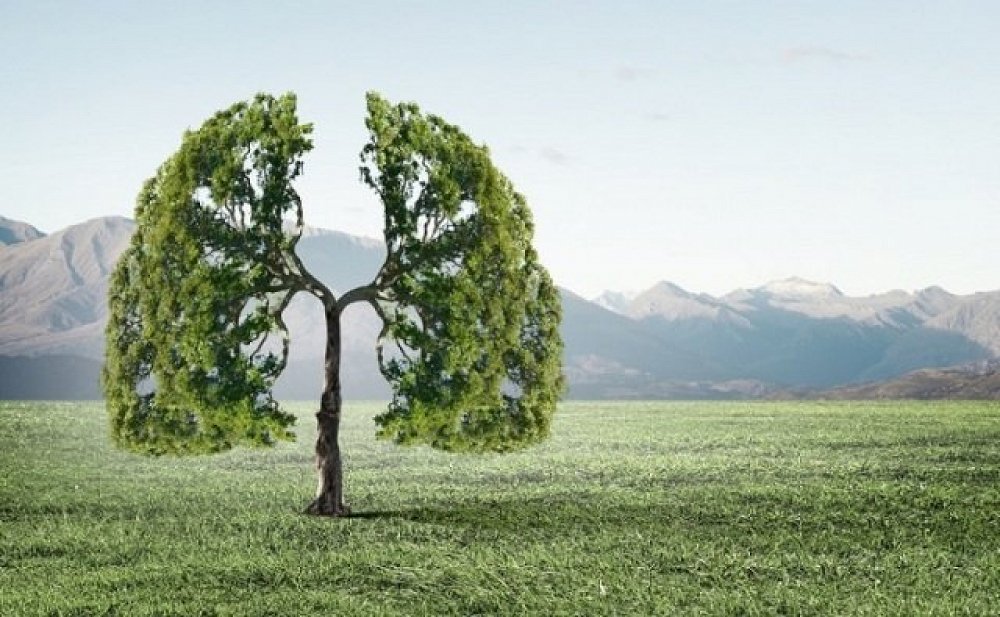 Οι καλύτερες τροφές για να βελτιώσετε την υγεία των πνευμόνων σας