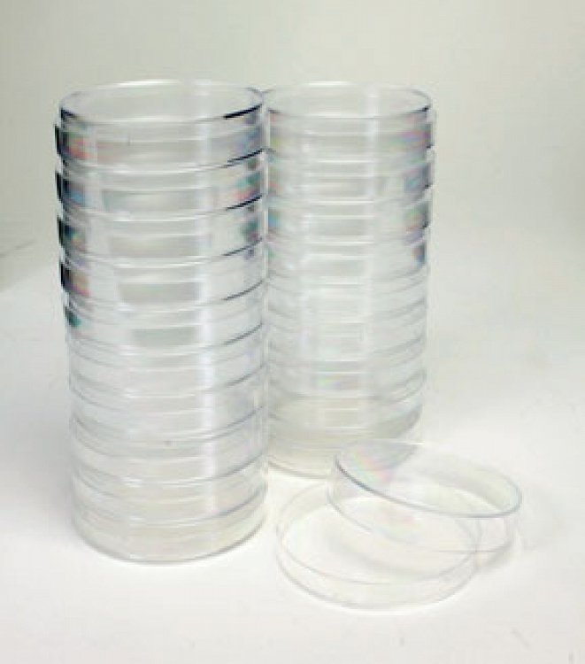 Plastic Petri Dishes, 9 Cm, (33 Pcs)