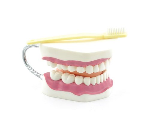 Πρόπλασμα οδοντικής υγιεινής με οδοντόβουρτσα