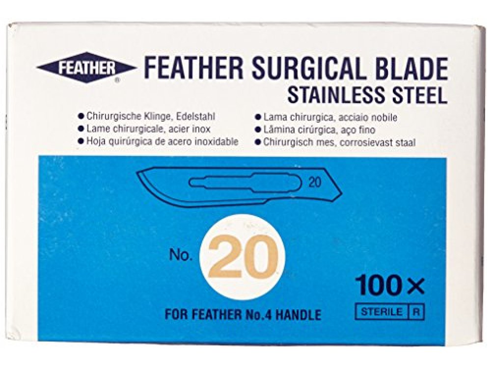 Feather Surgical Blades (100 pcs)