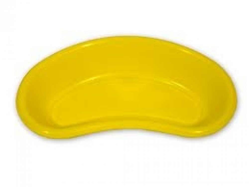 Kidney Dish - Plastic
