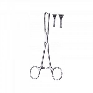 Forceps Tissue Allis 15Cm