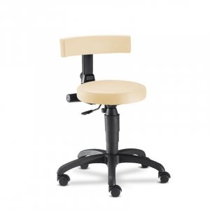 Ecco black Stool with Back