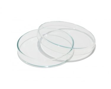 Petri Dish Plastic (33pcs)