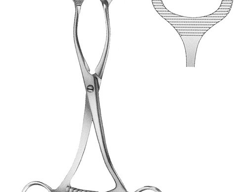 Tongue Holding Forcep Germanos Medicals