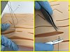 Suture Training Pad With Wounds With Mesh