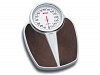Analog Scale Big Dial