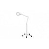 Dermatological Wheeled Light