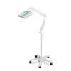 Dermatological Wheeled Light