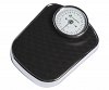 Scale Analog Fazzini